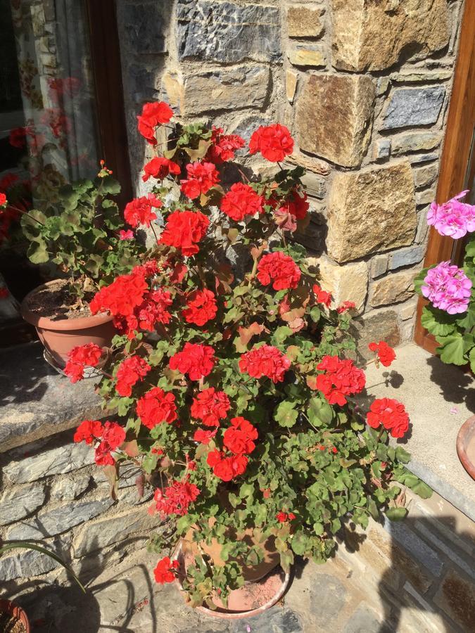 Hostal El Quinta Espinavell Dış mekan fotoğraf